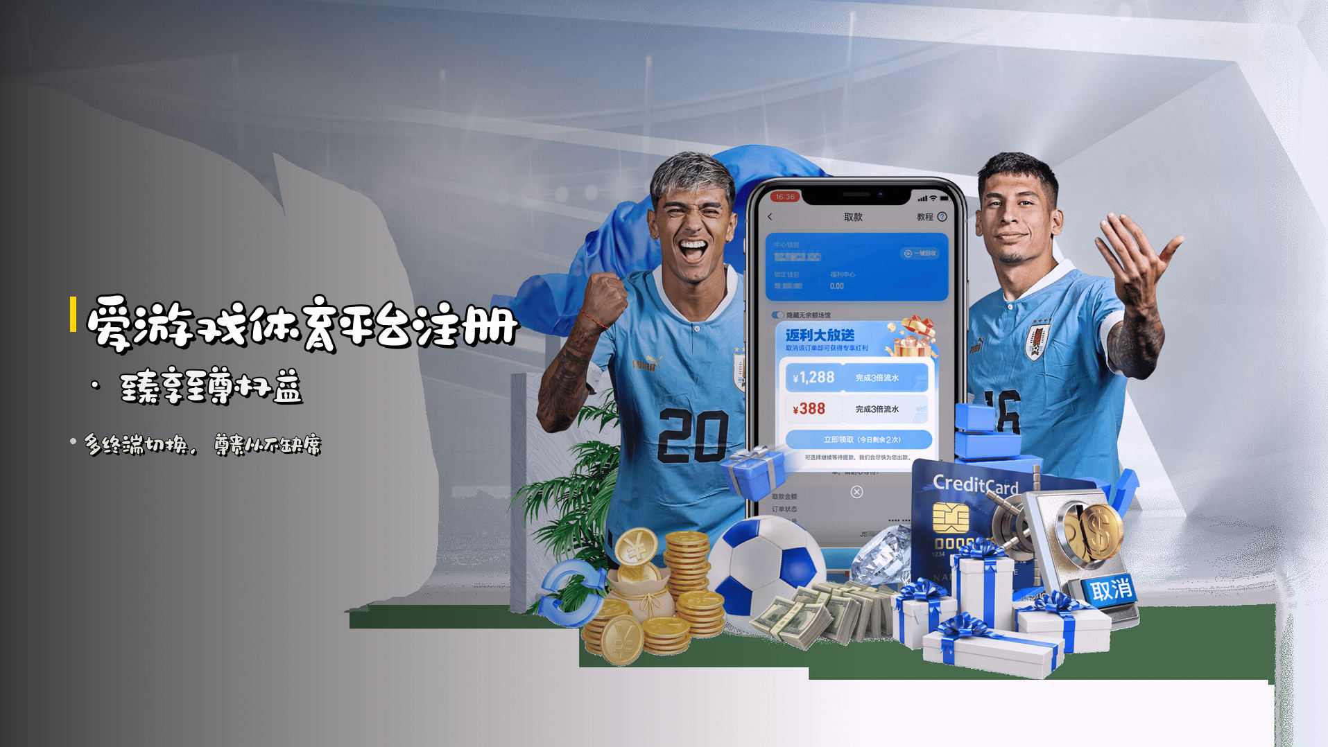 <strong>爱游戏体育平台注册</strong> · 臻享至尊权益